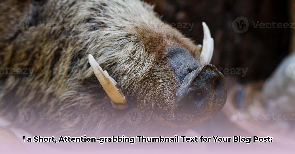 boar-s-head-net-worth